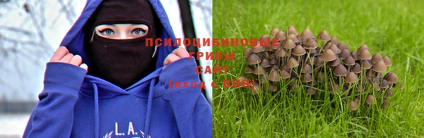 mdpv Иннополис